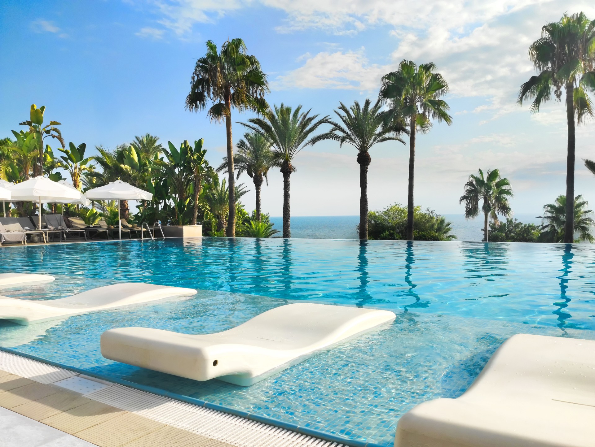 Luxurious Infinity Pool with loungers surrounded by palms and ocean view